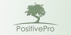 profesjonalna analiza wymagań PositivePro